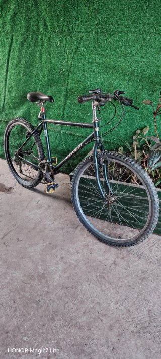 Bicicleta de montaña BH