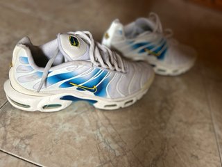 TN  Nike Air Max Plus Spray Paint