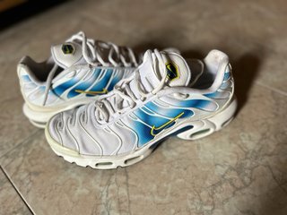 TN  Nike Air Max Plus Spray Paint