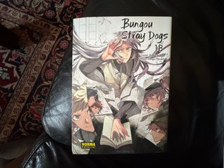 BUNGOU STRAY DOGS 18 Manga