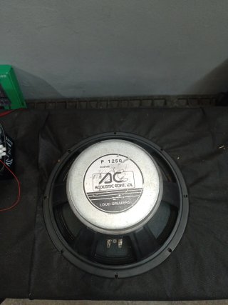 AC ACOUSTIC CONTROL 12" P1250