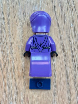 LEGO STAR WARS 75419 IMPERIAL DIGNITARY