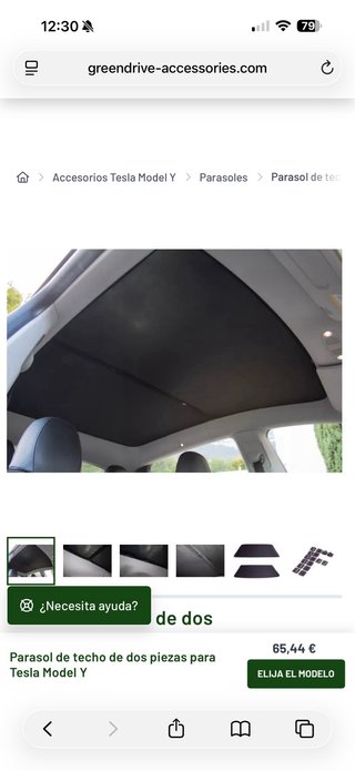 Parasol Techo Tesla Model Y
