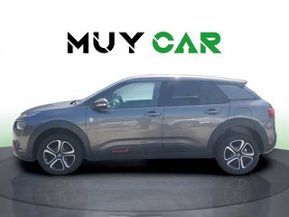 Citroen C4 Cactus BlueHDi 100 S&S C-Series 75 kW (102 CV)
