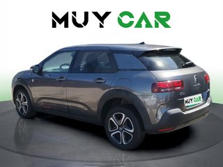Citroen C4 Cactus BlueHDi 100 S&S C-Series 75 kW (102 CV)