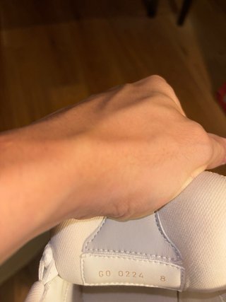 Louis Vuitton LV Skate Grigio Bianco
