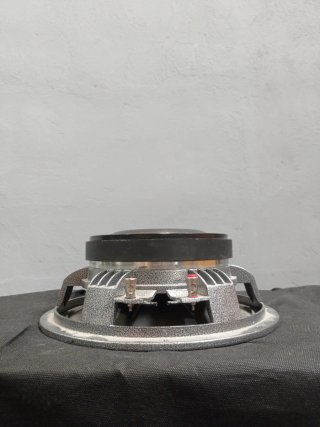 Altavoz Selenium 12WS600