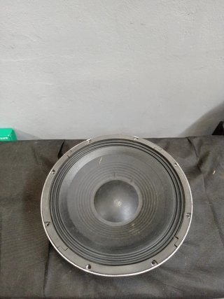 Altavoz Selenium 12WS600