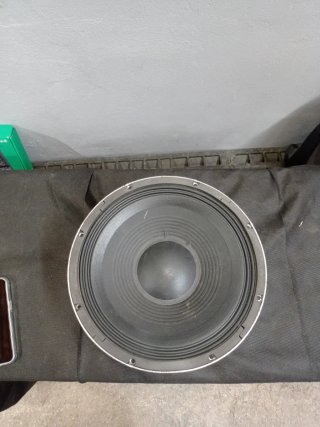 Altavoz Selenium 12WS600