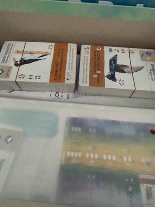 Juego de mesa Wingspan