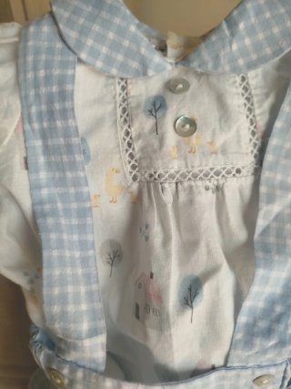 Ranita y camiseta bebé 18 meses