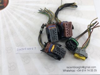 Cableado Peugeot Citroen 9656086080 S118983001J