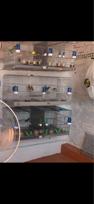 3 Jaulas Metro Pájaros Casi Nuevas
