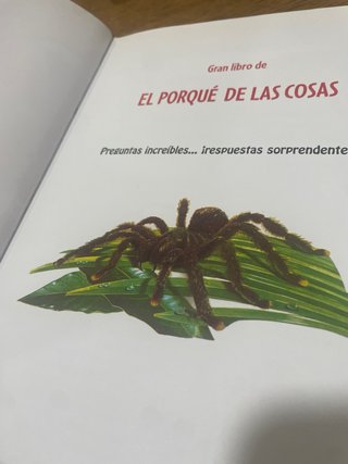 Gran libro de el porqué de las cosas