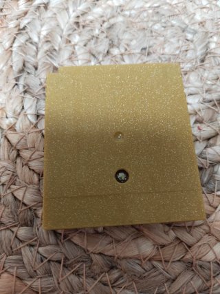 Pokémon Edición Oro Game Boy DMG-AAUS-ESP