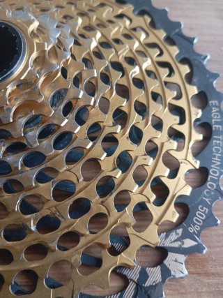 Cassette XX1 Gold 12v 10/50