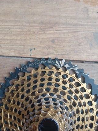 Cassette XX1 Gold 12v 10/50