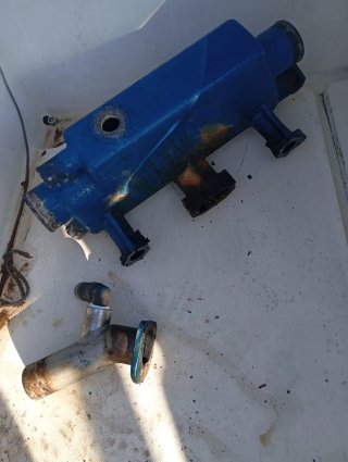 Rodman 700