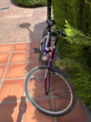 Bicicleta 26 Adulto/Junior, muy cuidada