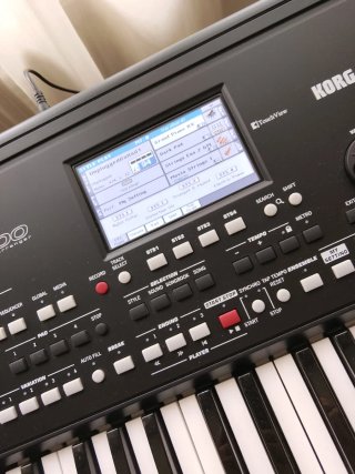 Teclado Korg PA300