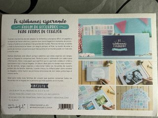 Álbum Mr. Wonderful Adopción