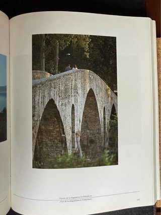El Camino de Santiago