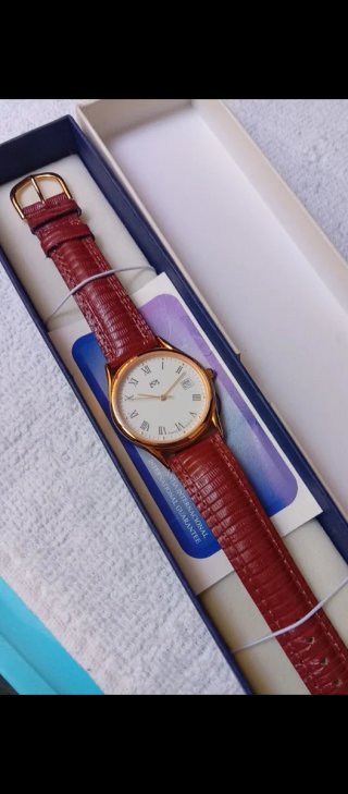 🇨🇭Reloj SILVANA