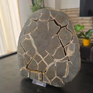 5,75kg Espectacular Calcita Septaria Pulida