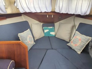 Barco Motovelero en venta