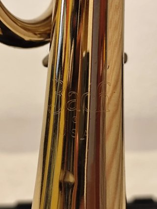 Trompeta Bach USA