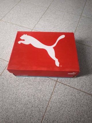 Puma Rebound Mid SD Blancas Talla 43