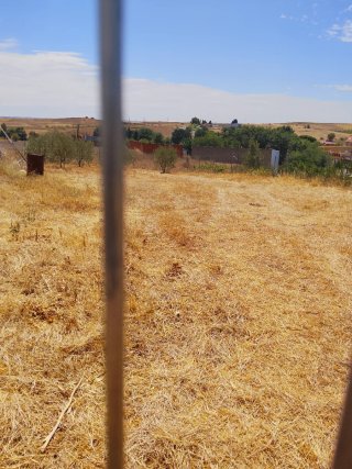 Parcela urbana En Casarrubios del monte