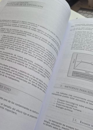 Superior en Prevención de Riesgos Laborales
