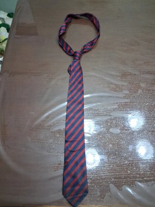 Corbata Colegio Parque Azul y Rojo