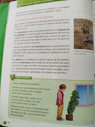 Ciencias de la naturaleza, 3 Primaria SuperPixé...