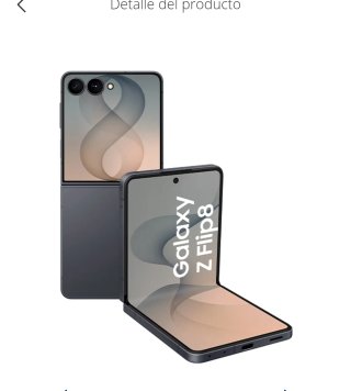 Samsung Galaxy Z Flip 8 Gris