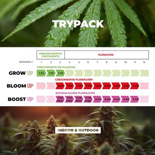 Pack 3 Fertilizantes UP NUTRIENTS Grow, Bloom, Boo