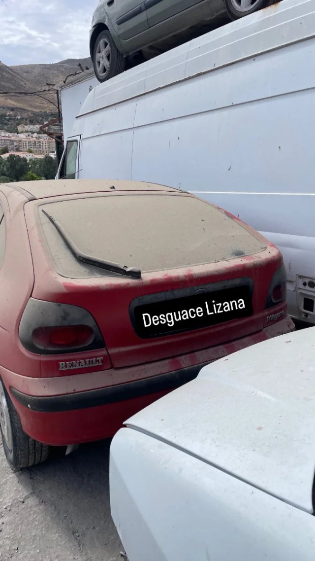 Despiece completo de Renault Megane 1
