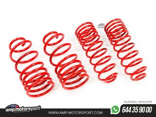 MUELLES DEPORTIVOS MTS TECHNIK MTSXFI101