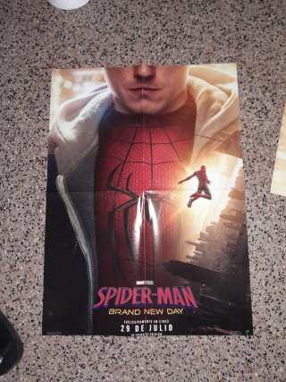 Póster Spider-Man Brand New Day