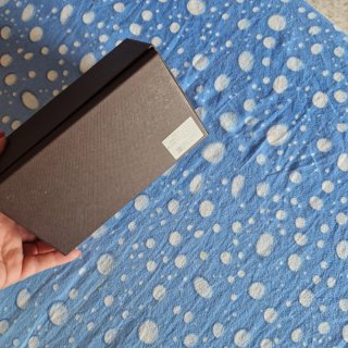 Scatoline Louis Vuitton