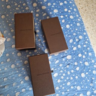 Scatoline Louis Vuitton
