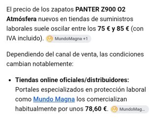 Zapatos de seguridad técnicos negros