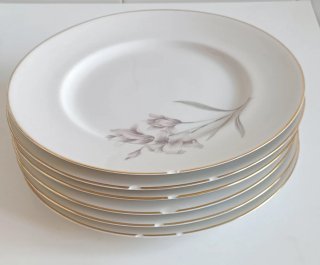 Platos Bidasoa para completar llanos/hondos/postre