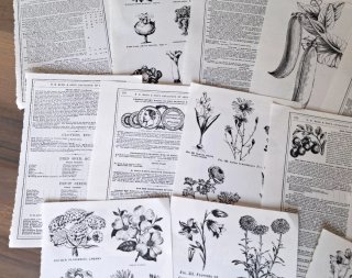 Lotto 20 Pagine Scrapbooking Fiori Vintage