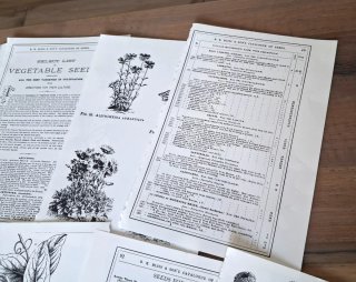 Lotto 20 Pagine Scrapbooking Fiori Vintage