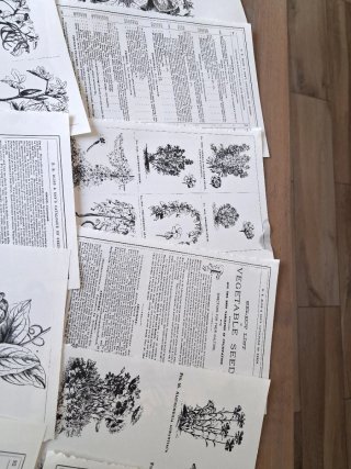 Lotto 20 Pagine Scrapbooking Fiori Vintage
