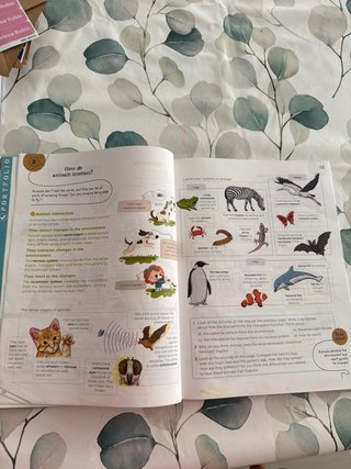 Natural Science, 4 Primary, Global Action