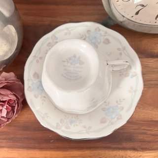 Taza y plato porcelana Royal Albert Satin rose