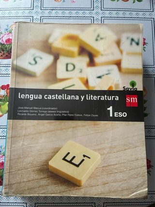 Lengua Castellana 1 eso, 2 eso, 3 eso y 4 eso
